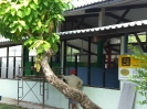 BGS Charity Project Asia Centre Foundation 